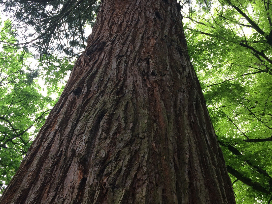 Laurelhurst Park景点图片