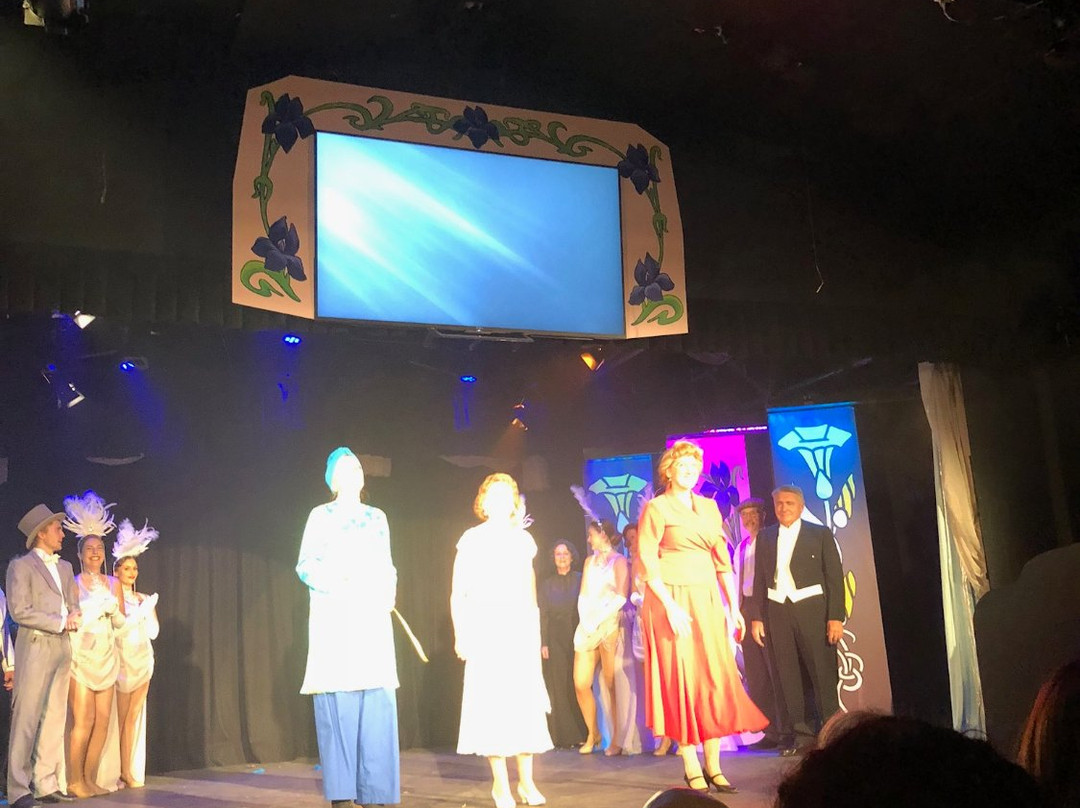 Noosa Arts Theatre景点图片