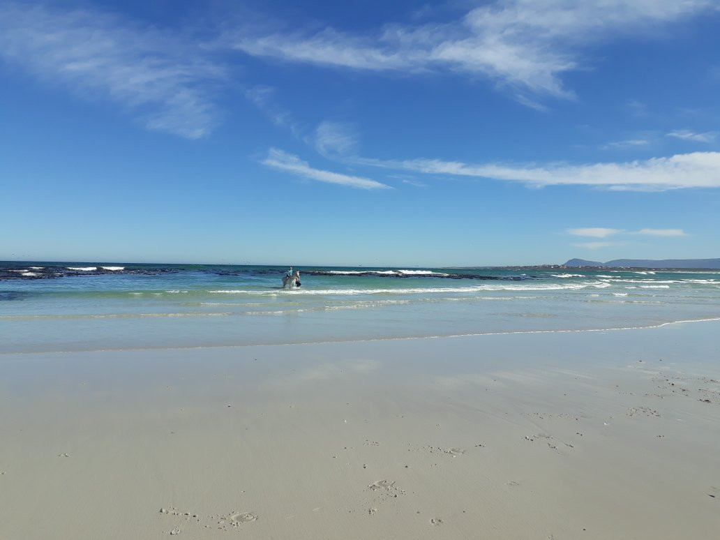 Gansbaai & Pearly Beach Horse Trails景点图片