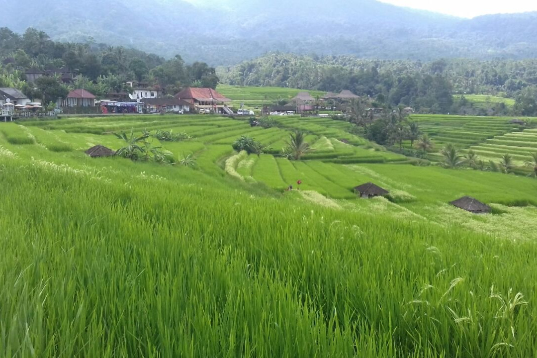 Bali Trip Host-金巴兰必去景点