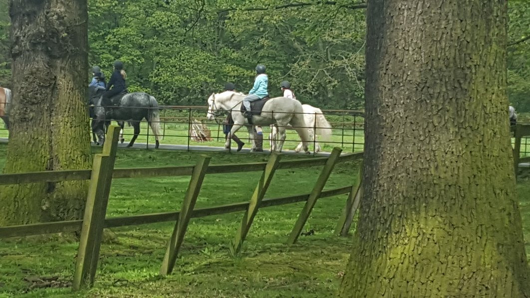 Croxteth Park Riding Centre-利物浦必去景点