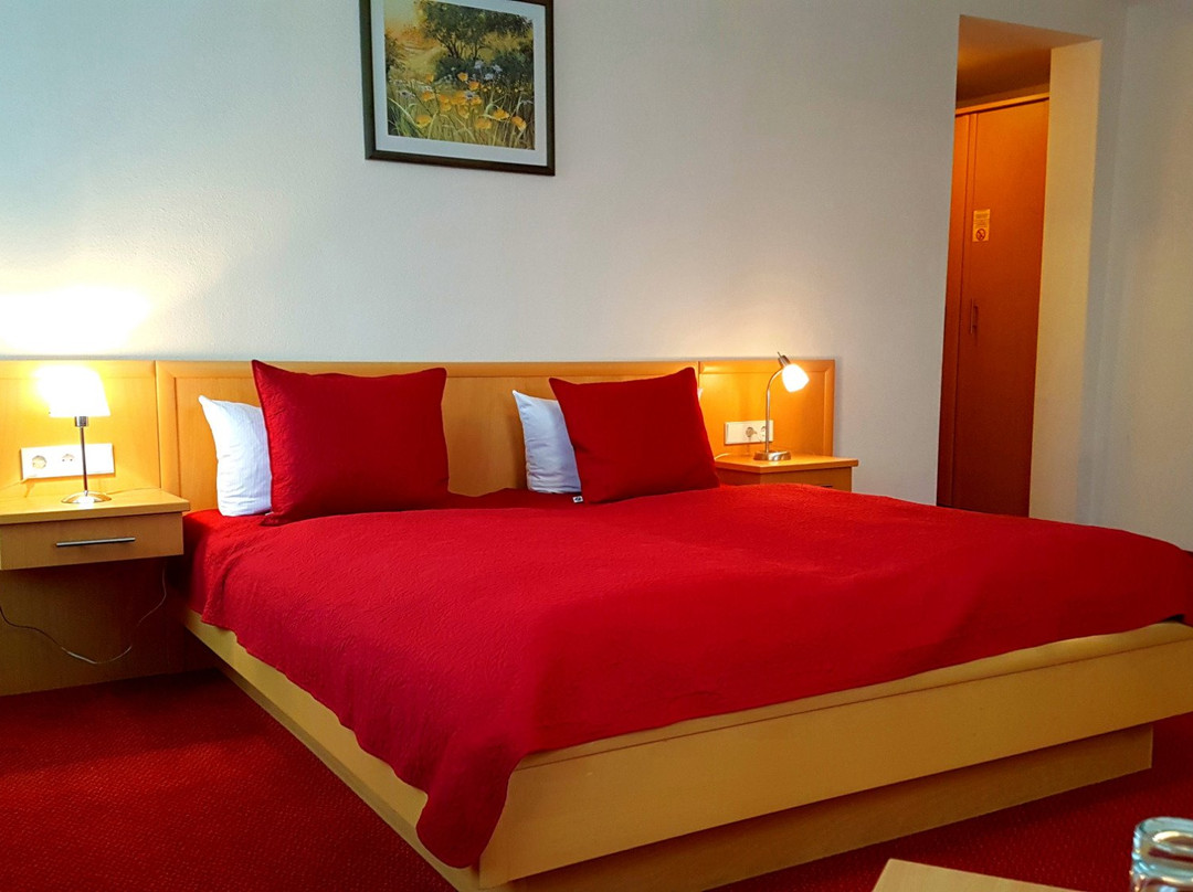 Hotel-Gasthof Schwarzer Adler主图