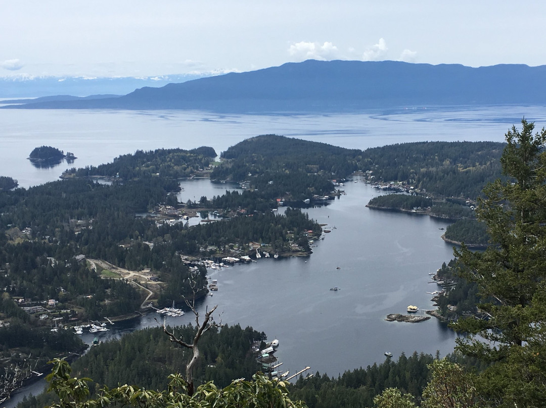 Mount Daniel-阳光海岸必去景点