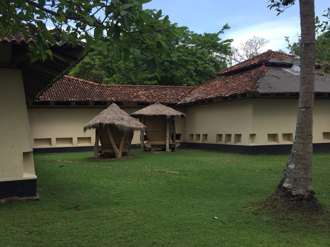 Martin Wickramasinghe Folk Museum Complex景点图片