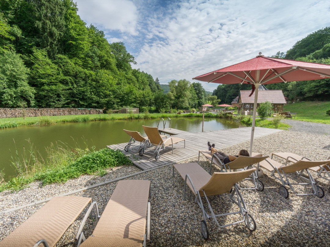 Baumhaushotel Seemuhle
