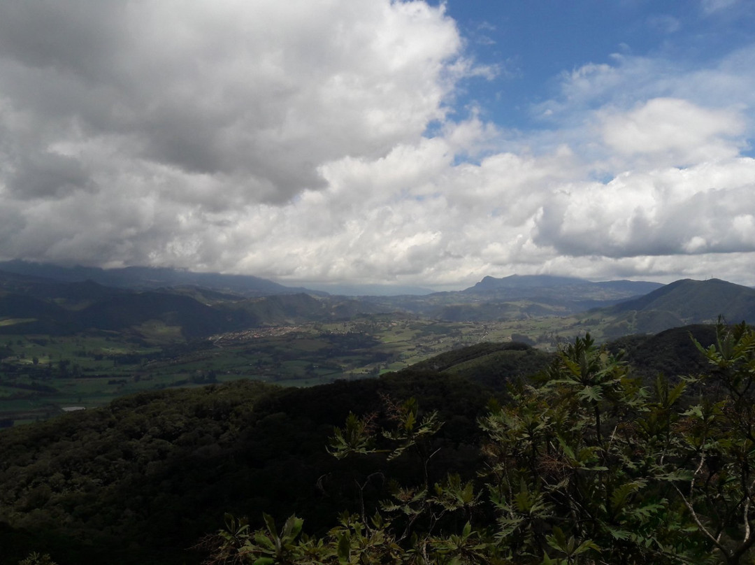 Bosque Ecuestre-Sopo必去景点
