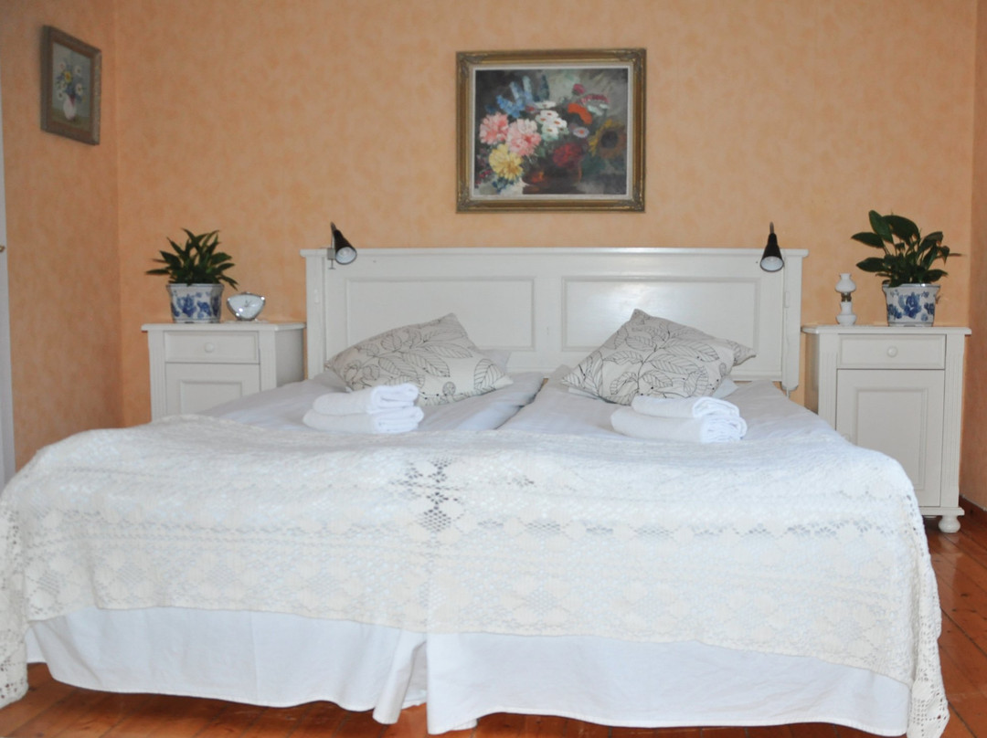 Visingso Pensionat主图