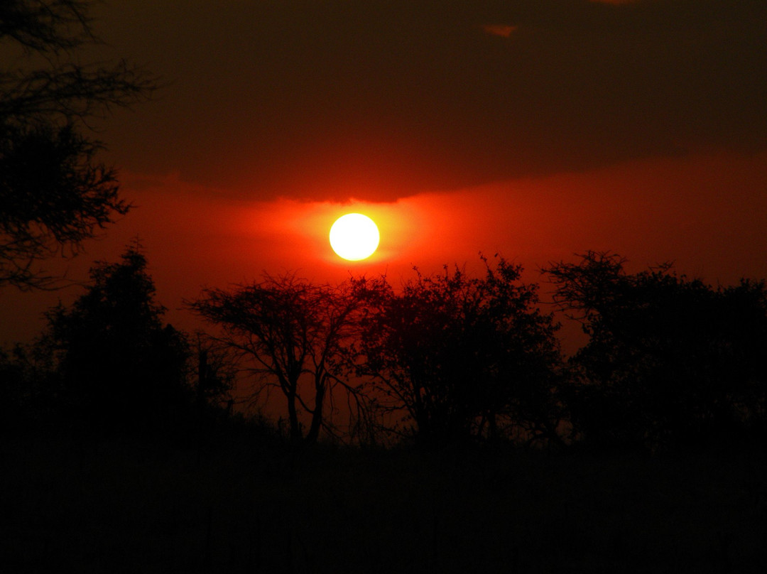 Oshkosh Safari Tanzania-阿鲁沙国家公园必去景点