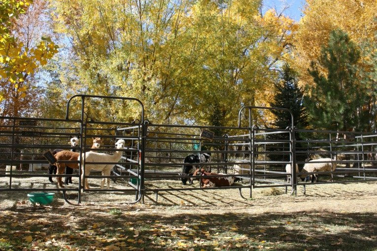 Covered Bridge Ranch景点图片