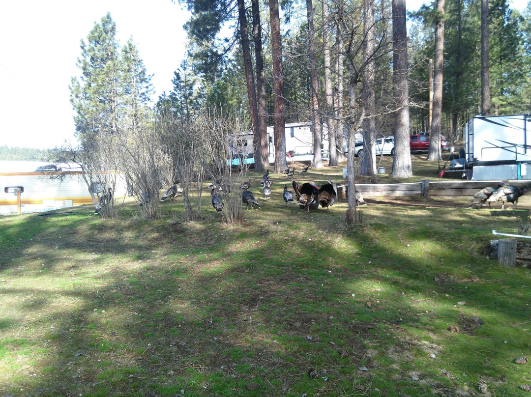 Old American Kampground