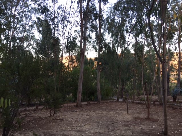 Hotel & Spa Colinas de Cuncumen主图