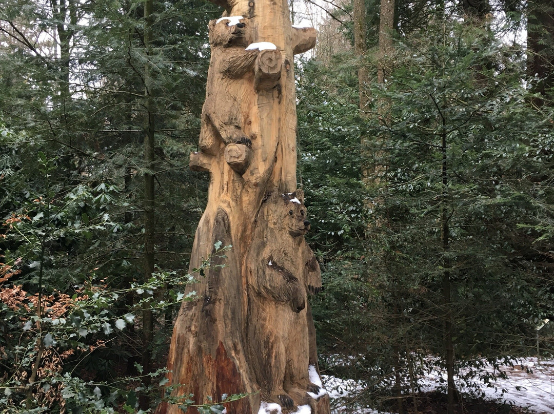 Grafenberg旅游攻略图片