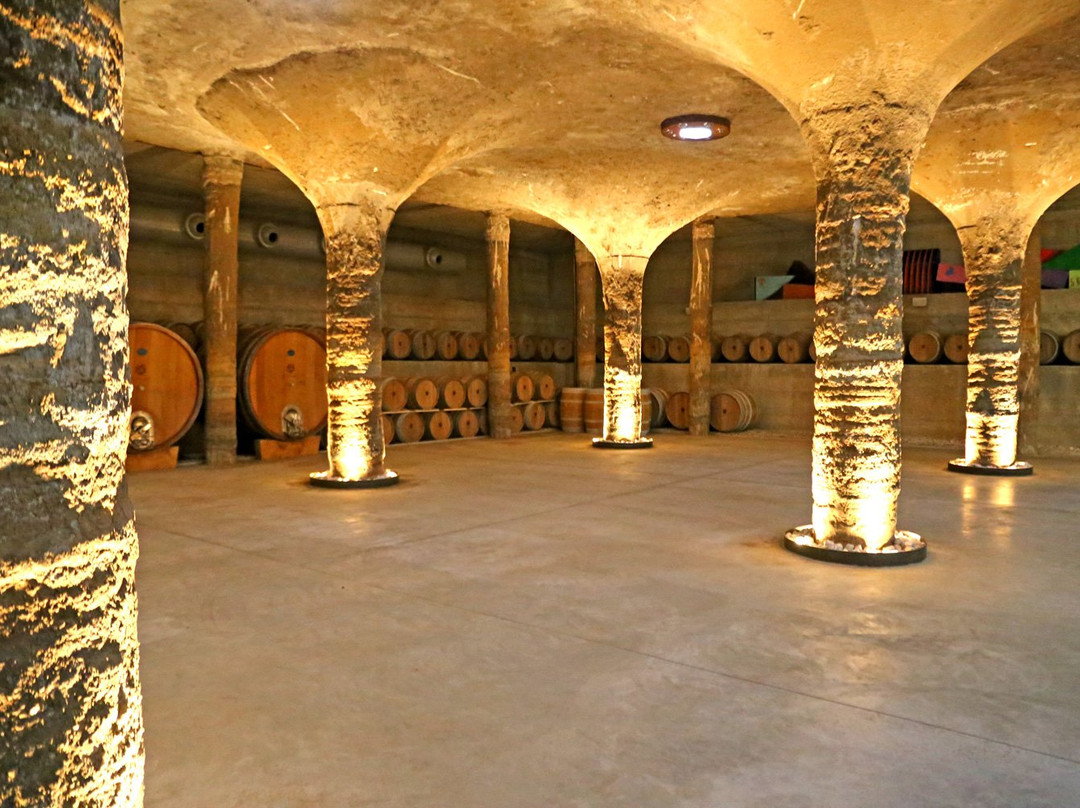 Tenuta Di Castellaro Winery & Resort景点图片