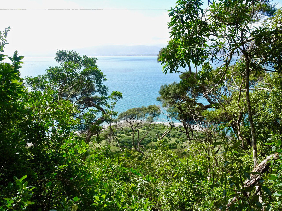 Kapiti Island景点图片
