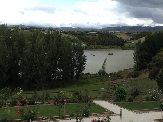 Willow's Green主图