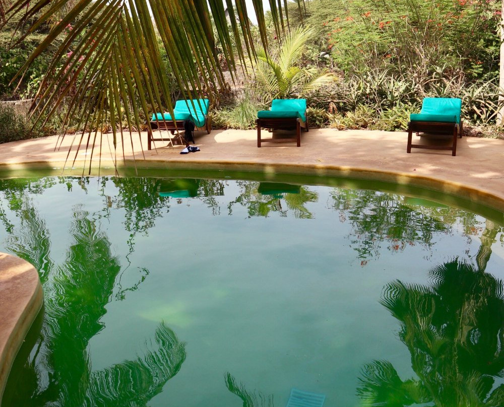 Banana House & Wellness Centre主图