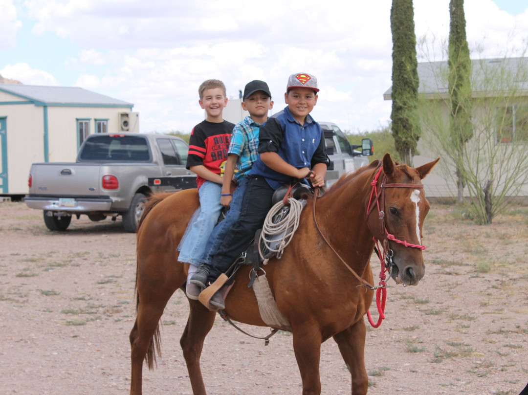 Animas酒店住宿-D.D. Gamble Guest Lodge and Ranch