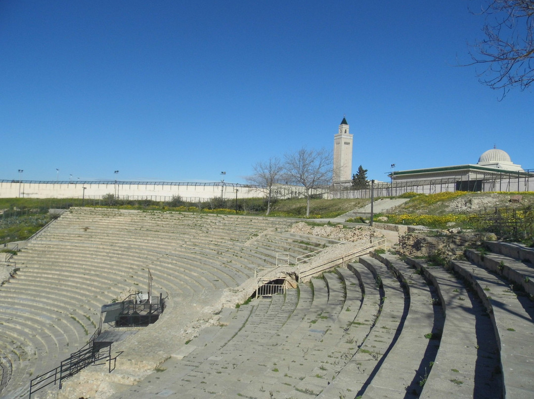 迦太基旅游景点-The Roman Theatre of Carthage