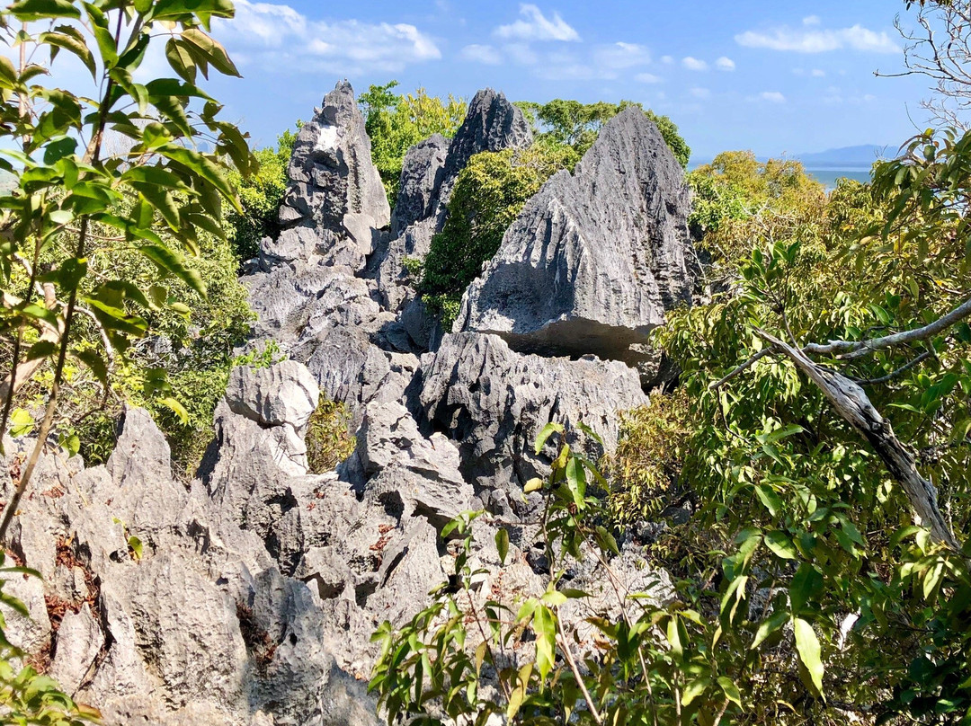 Point Dugong景点图片