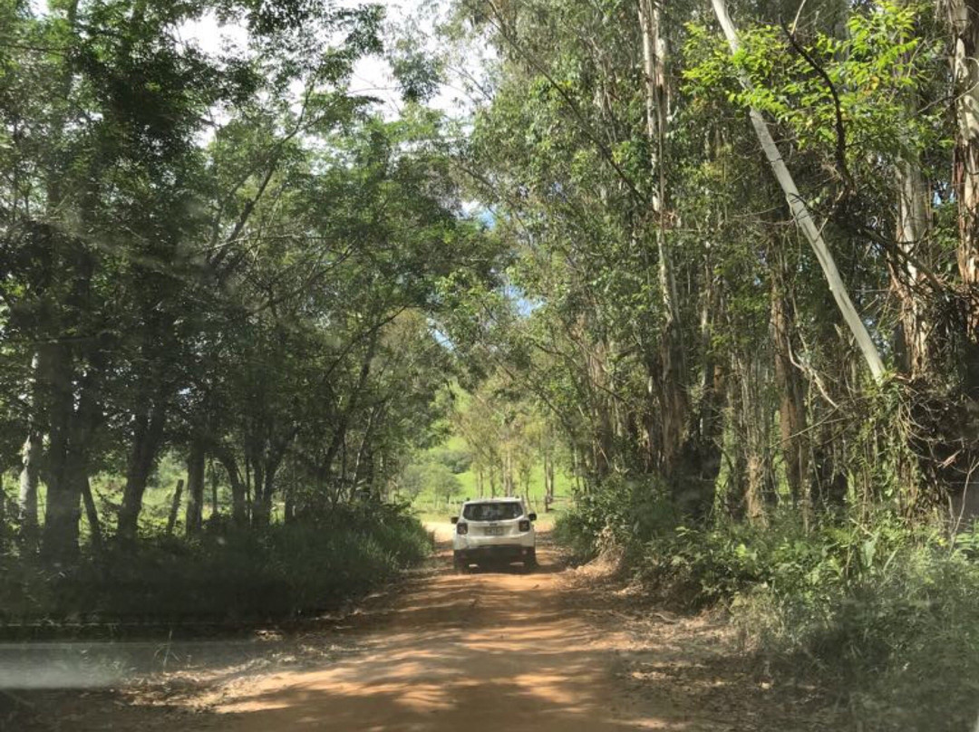 Cachoeira do Roncador景点图片