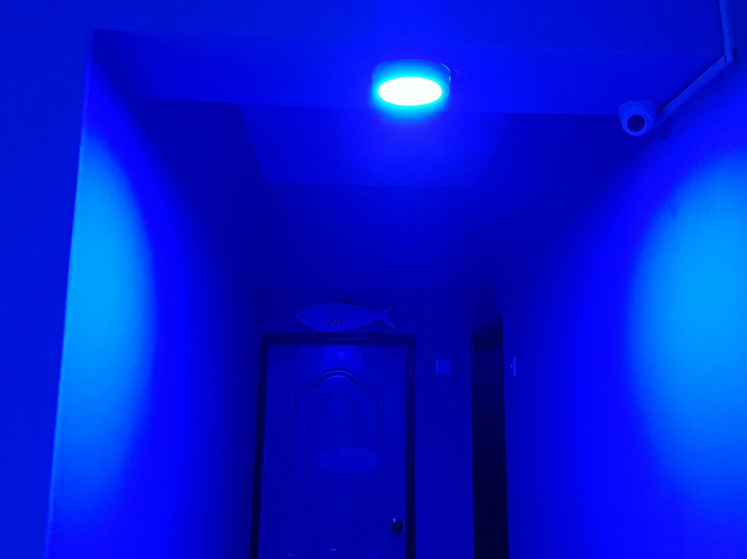 Hotel Grand Hilsha主图