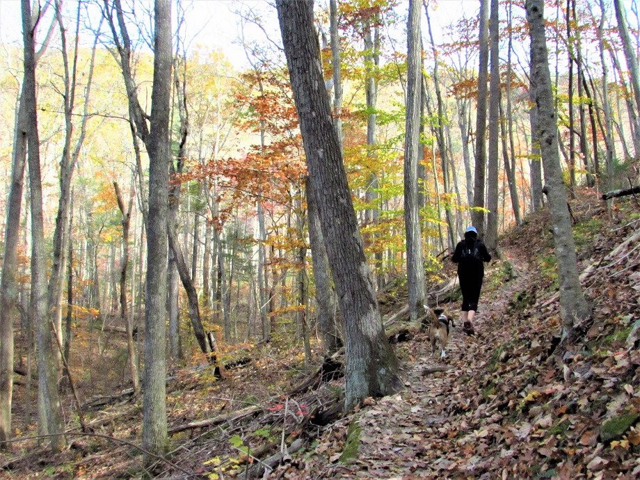 Excihiking Treks-罗阿诺克必去景点
