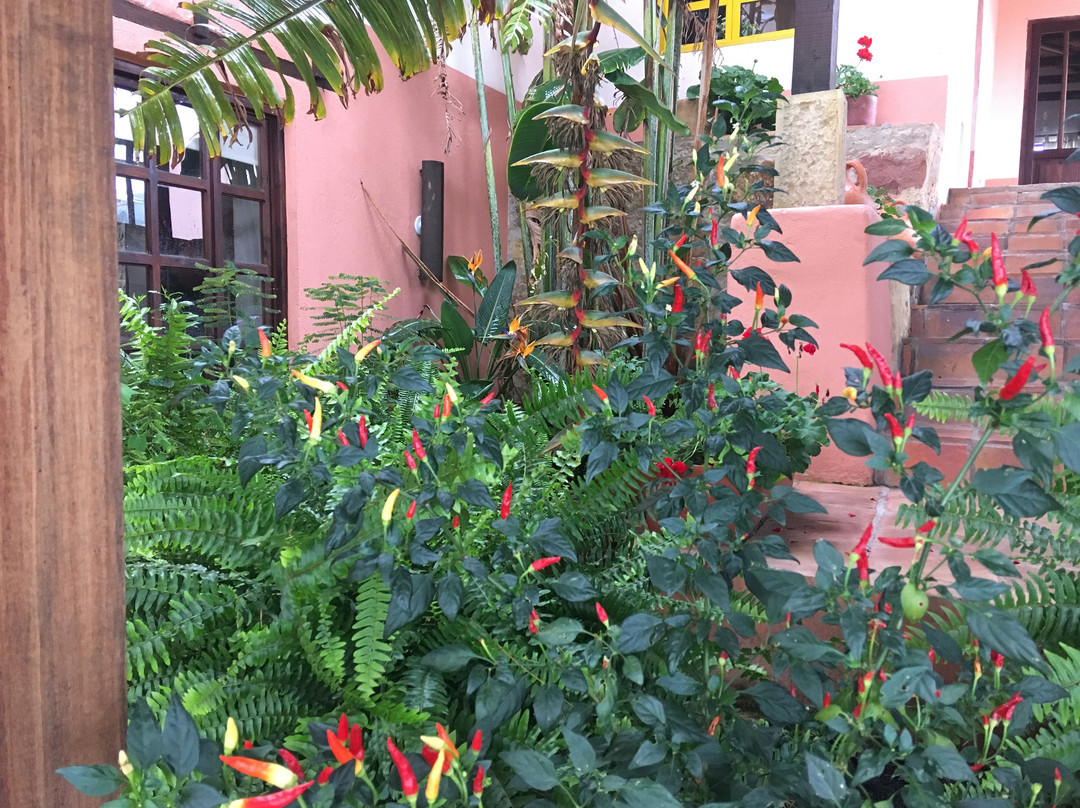 La Loza Guest House主图