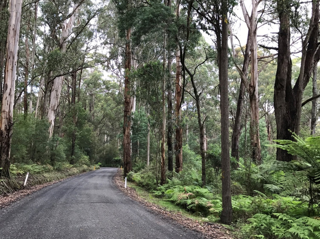 Baw Baw National Park-Walhalla必去景点