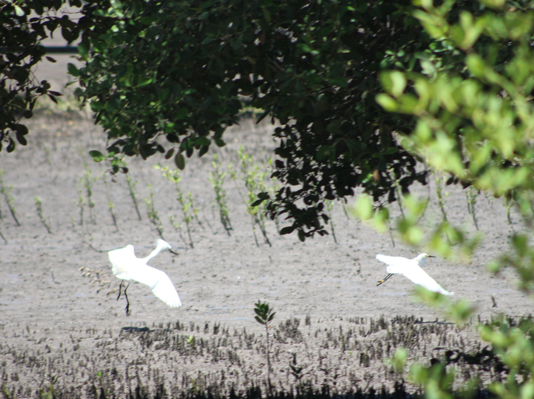 Resort Recanto da Natureza主图