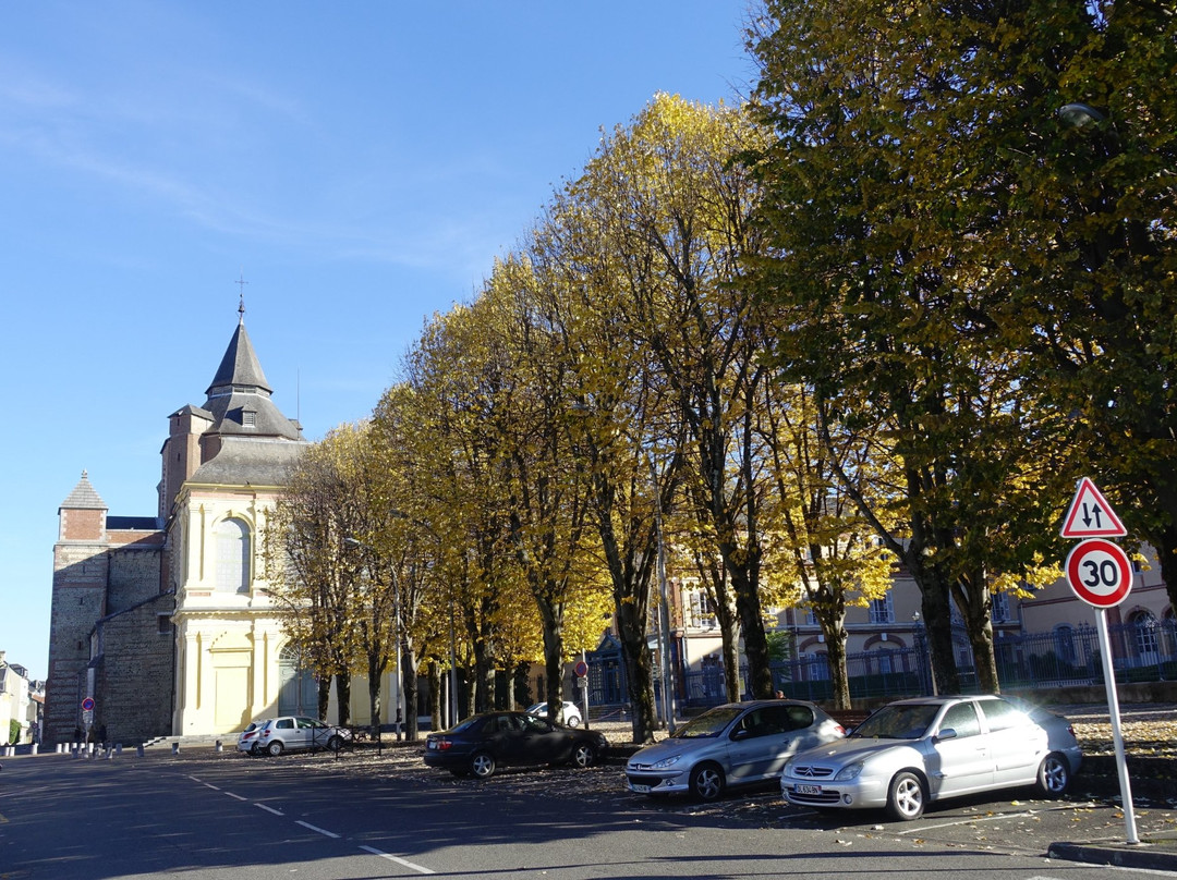 Cathédrale Notre-Dame de la Sède-塔布必去景点