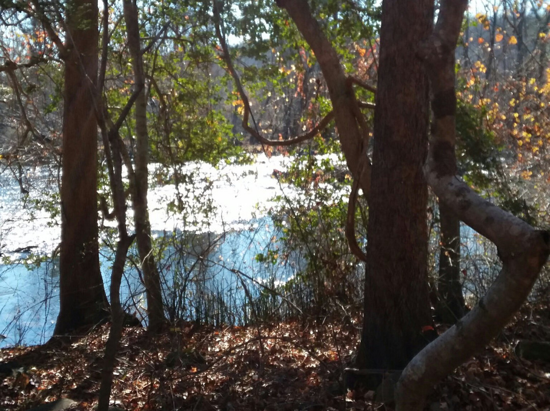 Lower Haw River State Natural Area-Pittsboro必去景点