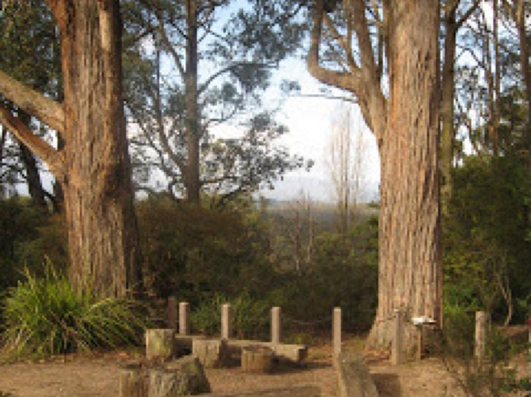 Karwarra Australian Plant Garden-Kalorama必去景点