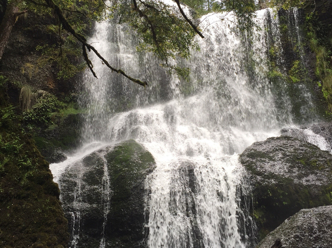 Bridal Veil Falls-Moina必去景点
