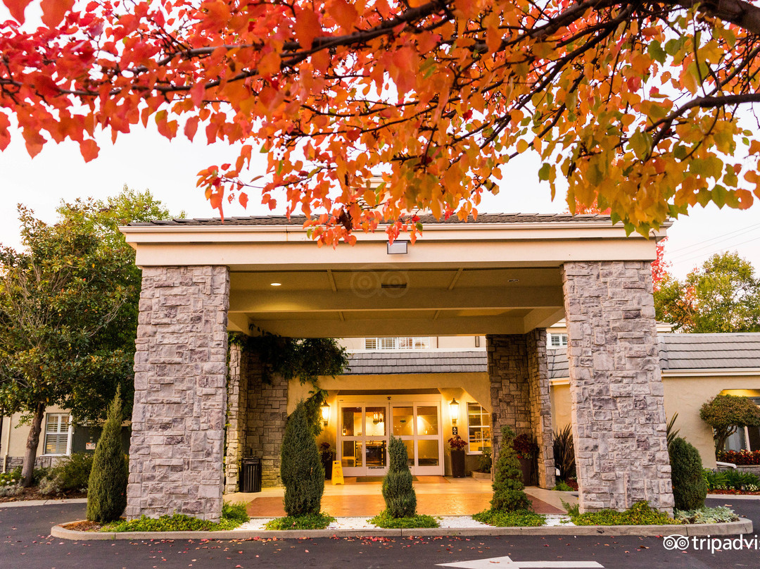 Hotel Indigo Napa Valley By IHG