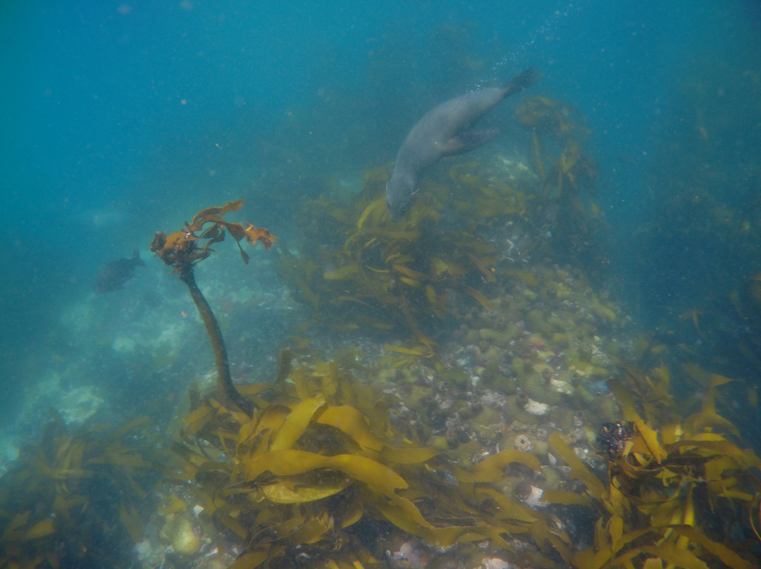 Shark Warrior Adventures-西门镇必去景点