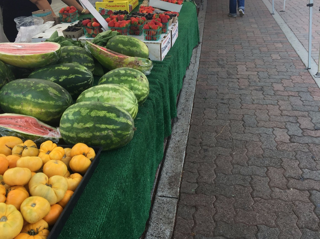 San Clemente Farmers Market-圣克莱蒙顿必去景点