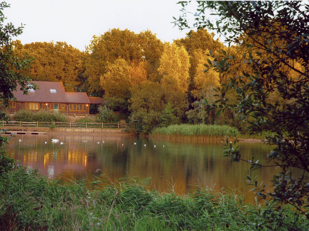 Southwater Country Park景点图片