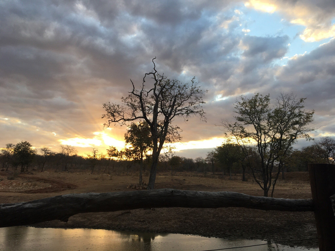 Lamai Safari