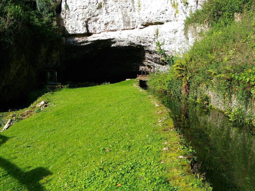 Wookey Hole Caves景点图片
