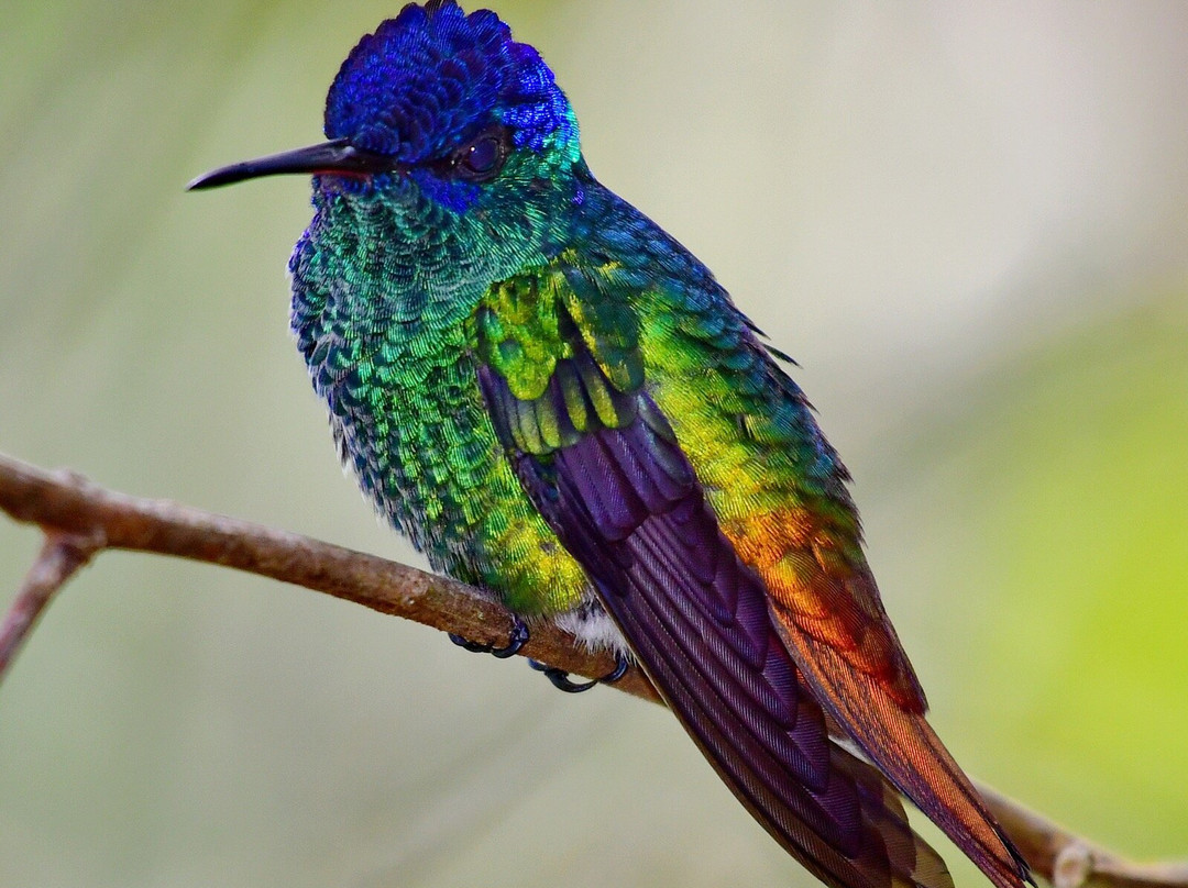 Waqanki Lodge-Moyobamba必去景点