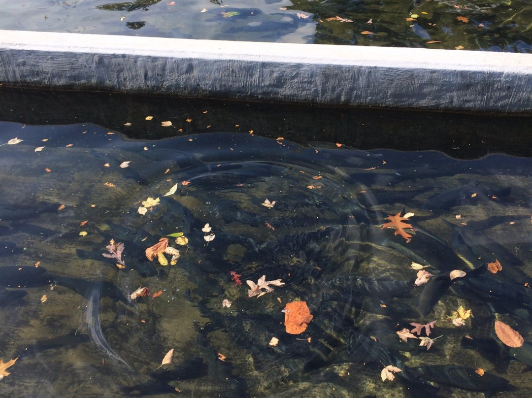 Powder Mills Park-Pittsford必去景点