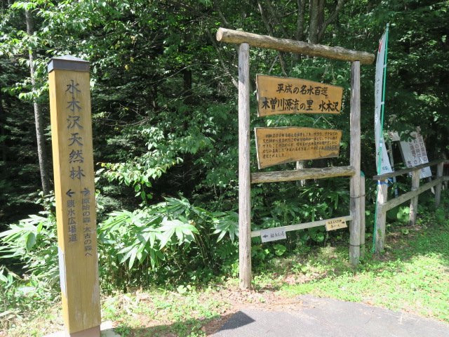 Mizukisawa Forest景点图片