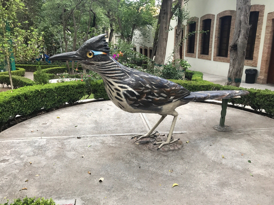 Museo de las Aves-萨尔蒂必去景点