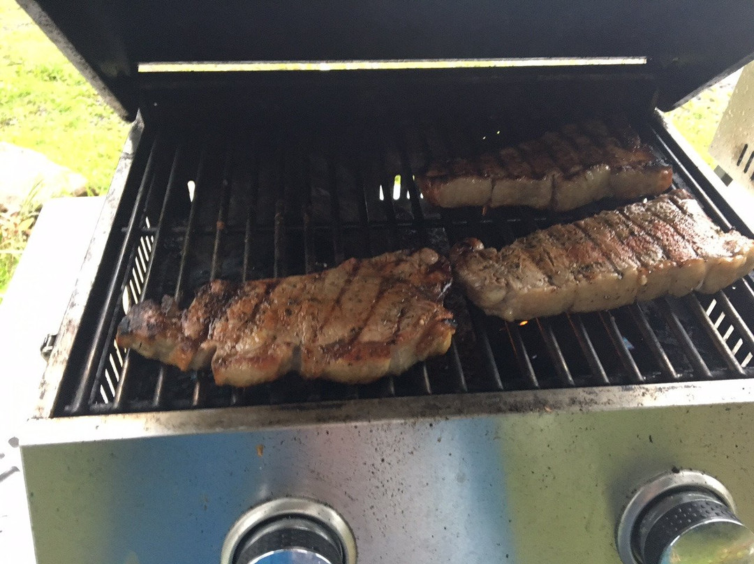 Algonquin Dream Catcher Motel主图