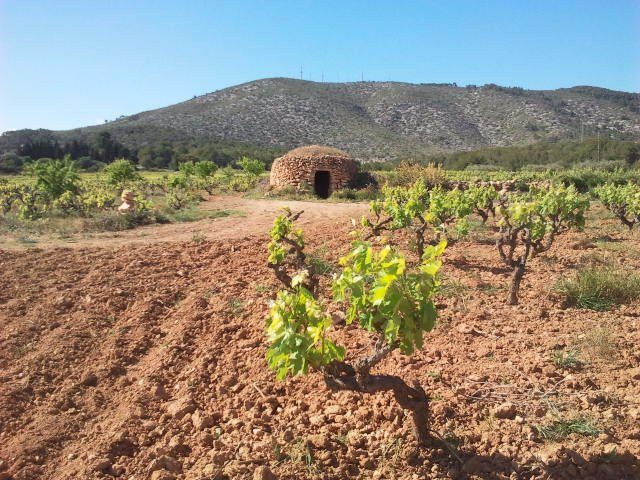 El Montgros-Sant Pere de Ribes必去景点