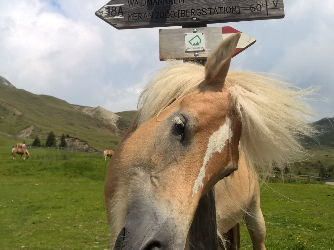 Cabinovia Falzeben-Avelengo必去景点