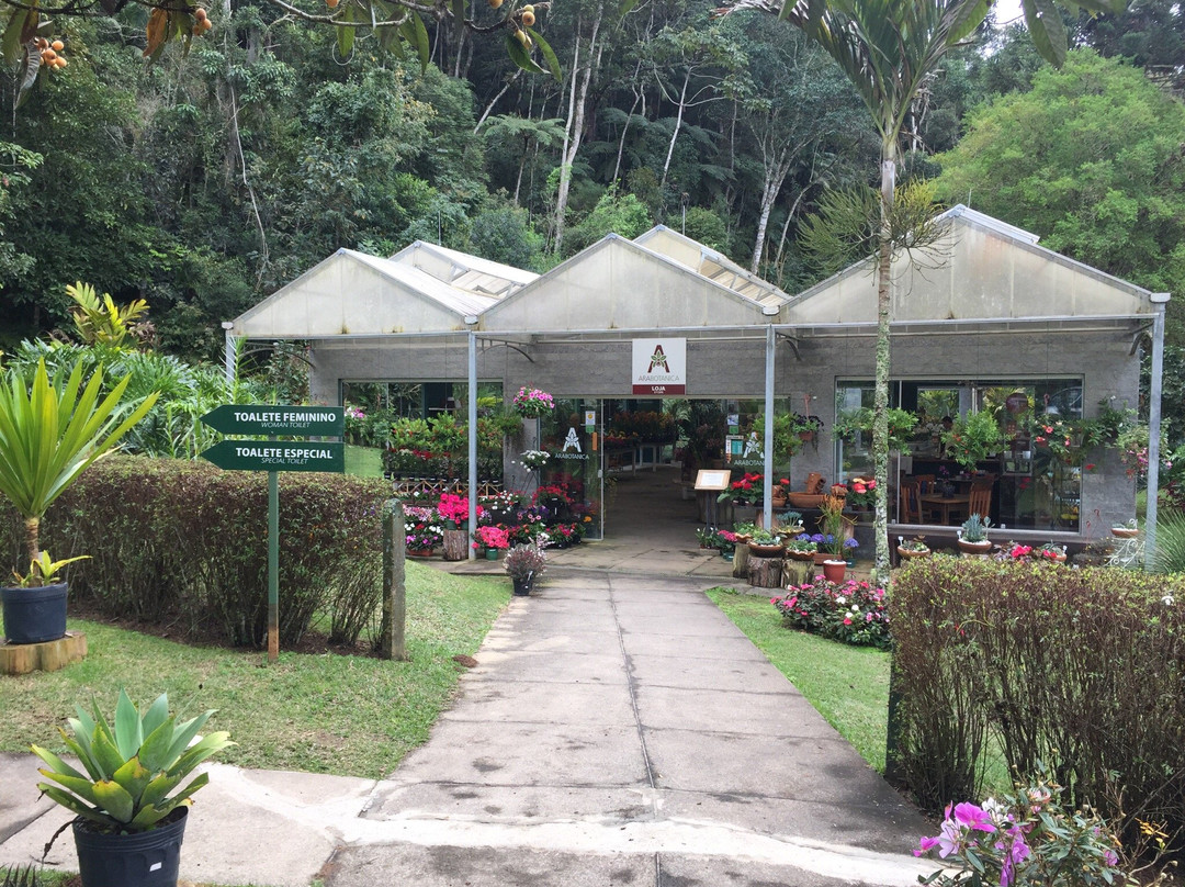 Arabotânica-特雷索波利斯必去景点