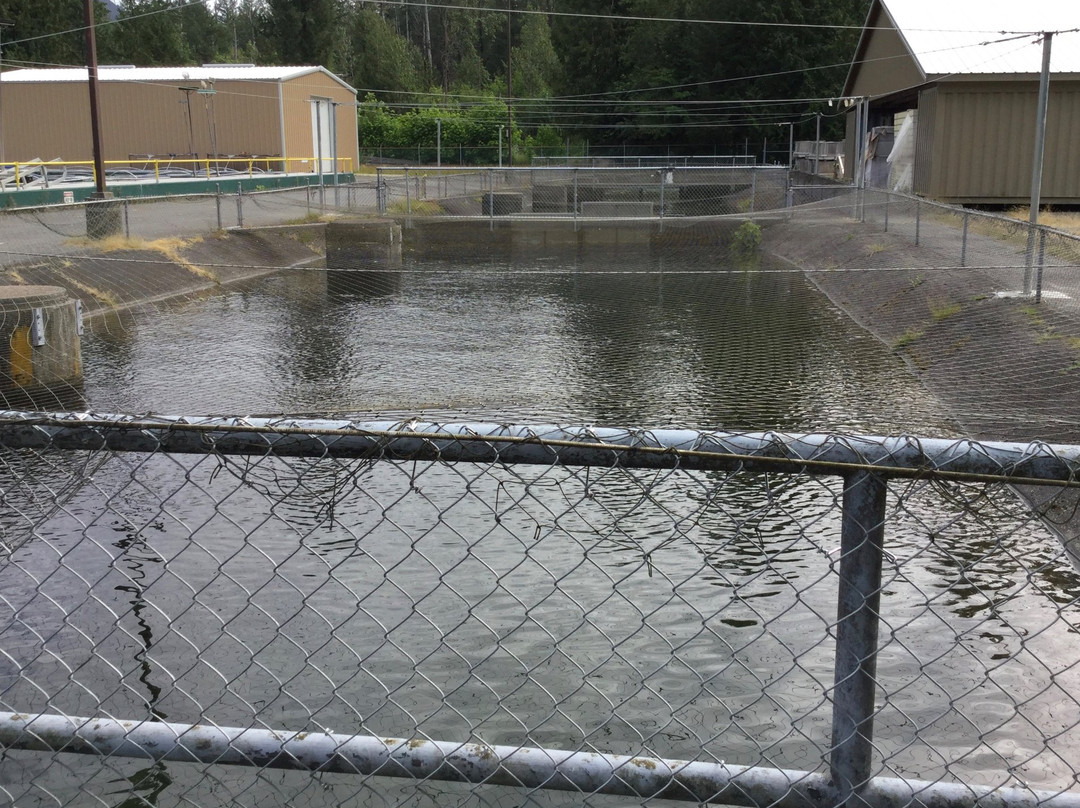 Chehalis River Salmon and Trout Enhancement Facility-阿加斯市必去景点