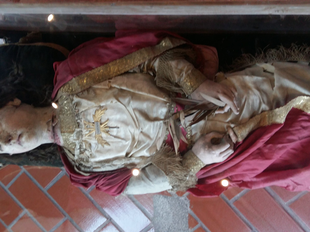 Museo Religioso de San Antonio景点图片