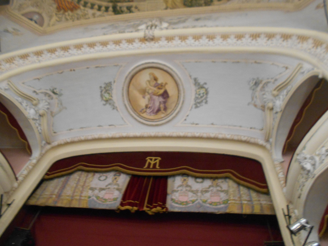 Teatro Municipal Rafael de Aguiar景点图片
